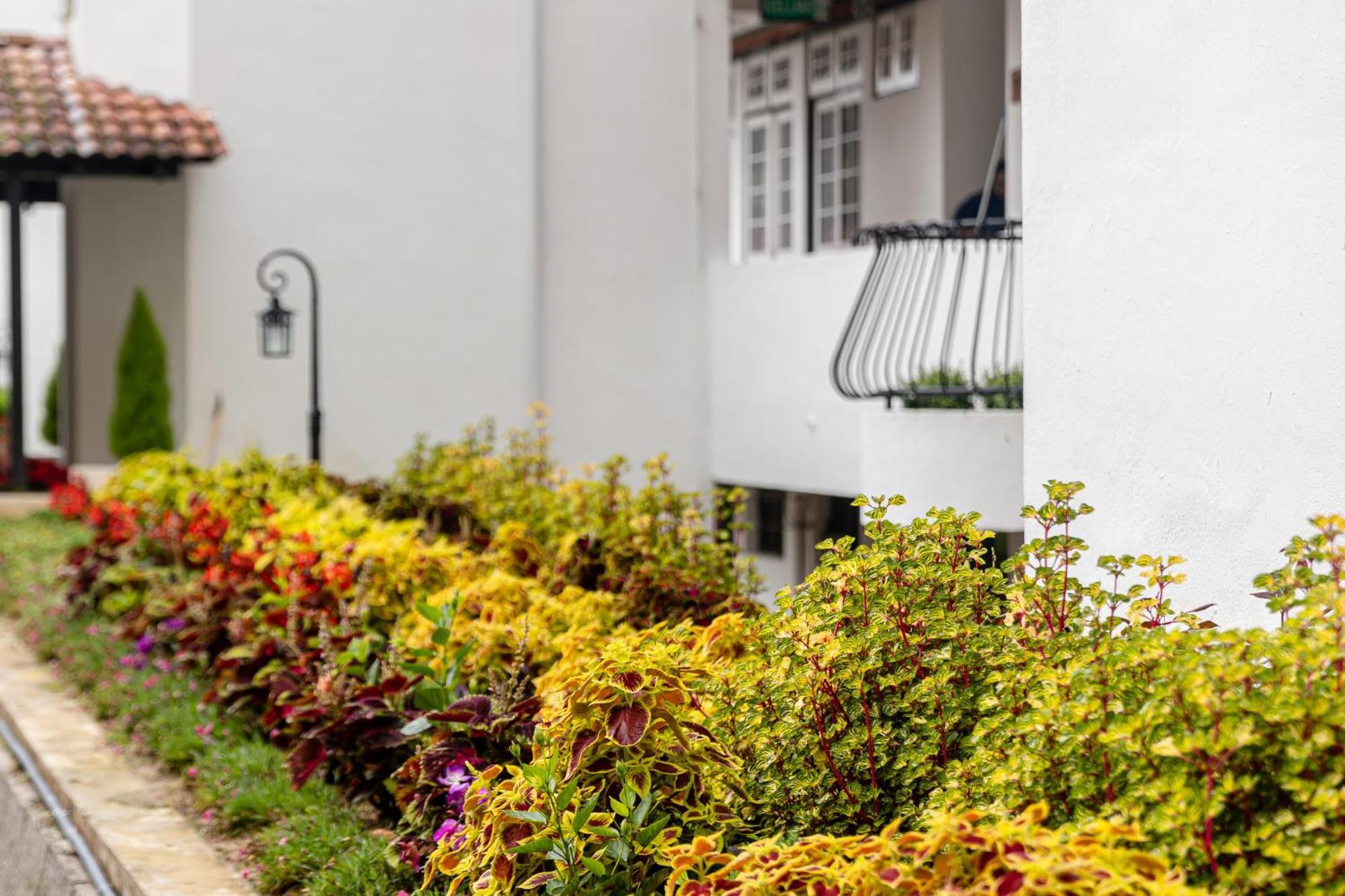 Springhill Resort Cameron Highlands Eksteriør billede